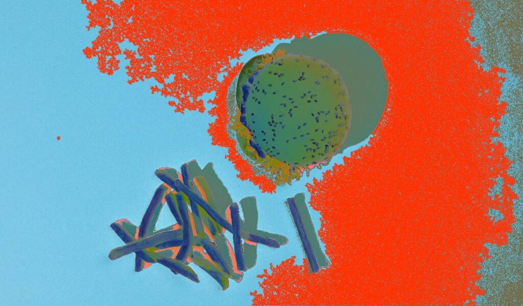 The Fast Food Microplastics Crisis 10 microplastics