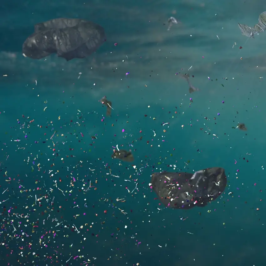 Why Microplastic Pollution is Still Fashion’s Concern 13 Cotton Microplastic