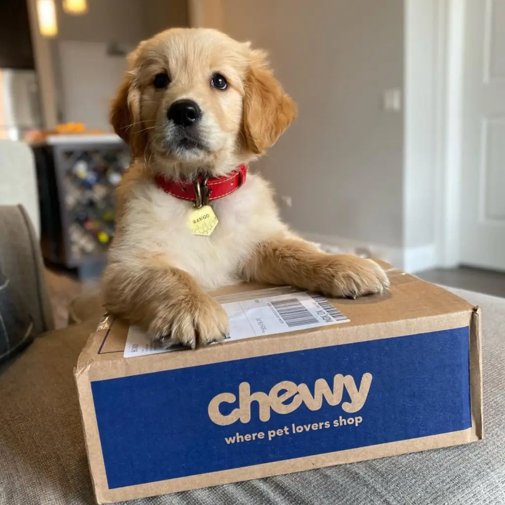 Winter Arrives for Ecommerce Darlings 5 WeinbergLevine Winter